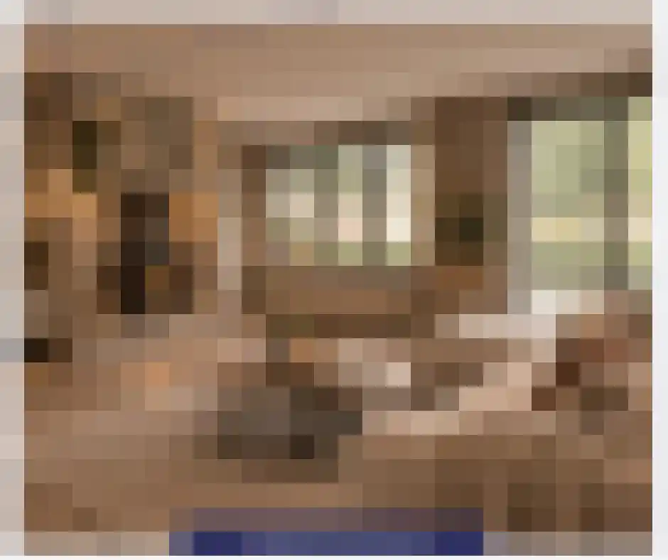 Zonnedauw 38 Nijverdal thumbnail 6