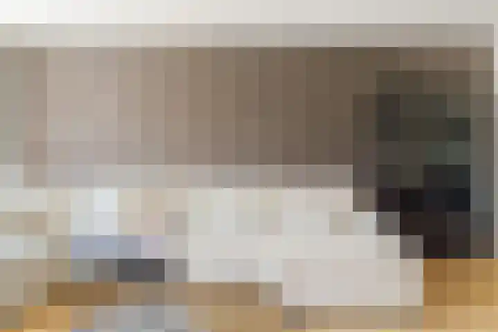 Zonnedauw 4 Alphen aan den Rijn thumbnail 13