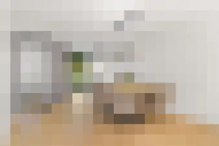 Zonnedauw 4 Alphen aan den Rijn thumbnail 15
