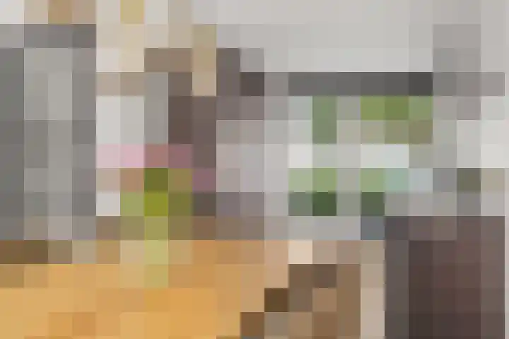 Zonnedauw 4 Alphen aan den Rijn thumbnail 16