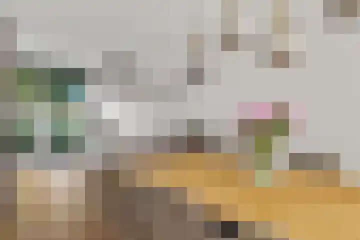 Zonnedauw 4 Alphen aan den Rijn thumbnail 17