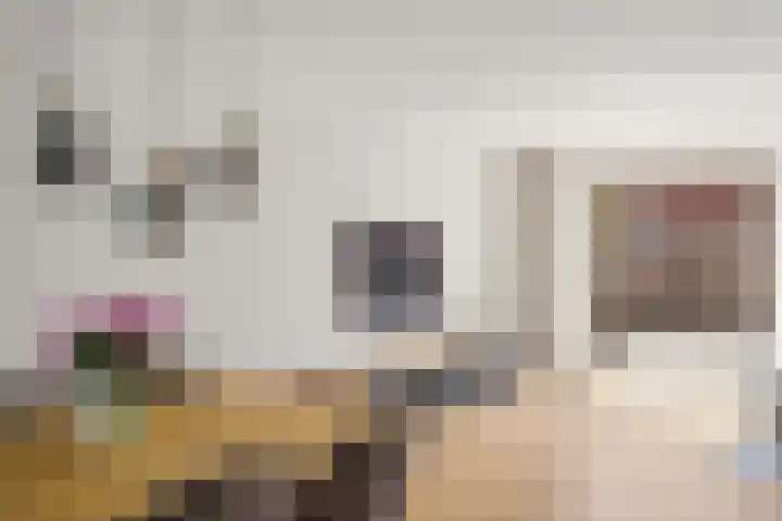 Zonnedauw 4 Alphen aan den Rijn thumbnail 19