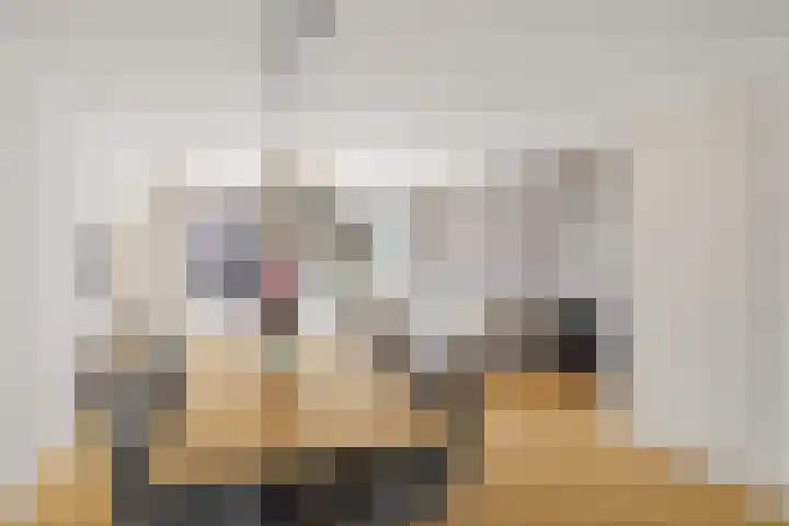 Zonnedauw 4 Alphen aan den Rijn thumbnail 20