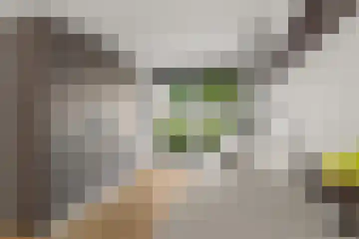 Zonnedauw 4 Alphen aan den Rijn thumbnail 21