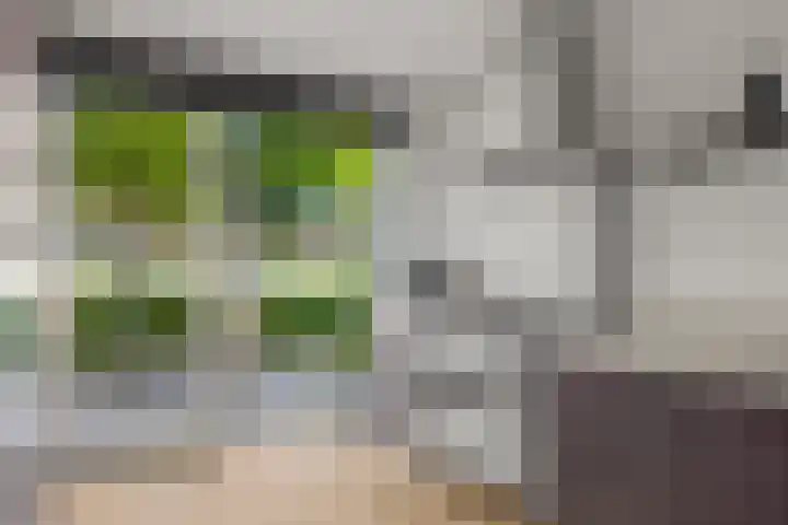 Zonnedauw 4 Alphen aan den Rijn thumbnail 22