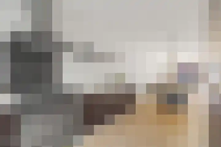 Zonnedauw 4 Alphen aan den Rijn thumbnail 25