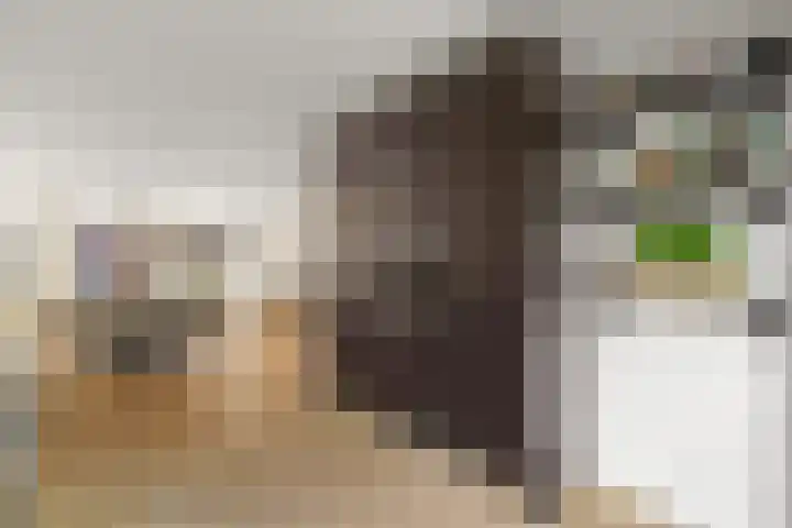 Zonnedauw 4 Alphen aan den Rijn thumbnail 26