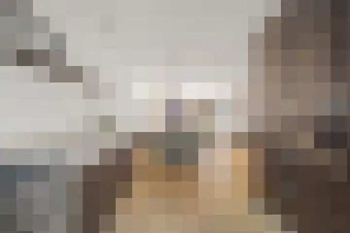 Zonnedauw 4 Alphen aan den Rijn thumbnail 27