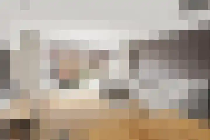 Zonnedauw 4 Alphen aan den Rijn thumbnail 28