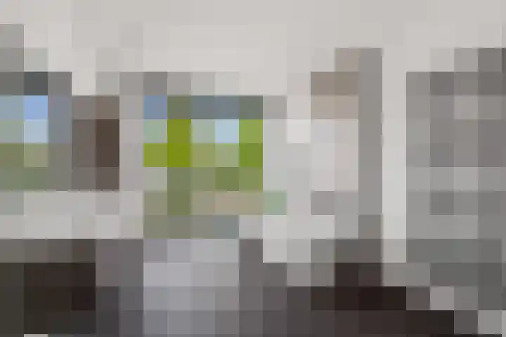 Zonnedauw 4 Alphen aan den Rijn foto 3