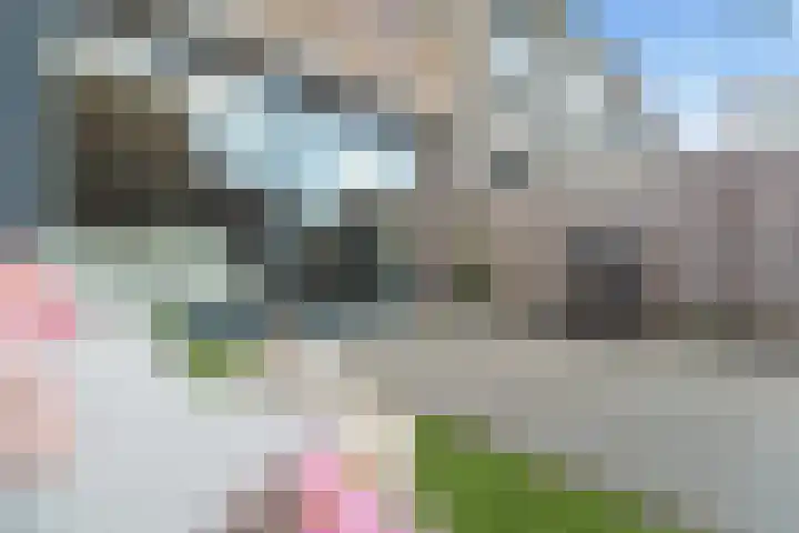 Zonnedauw 4 Alphen aan den Rijn thumbnail 33