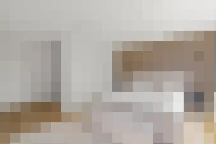 Zonnedauw 4 Alphen aan den Rijn thumbnail 38
