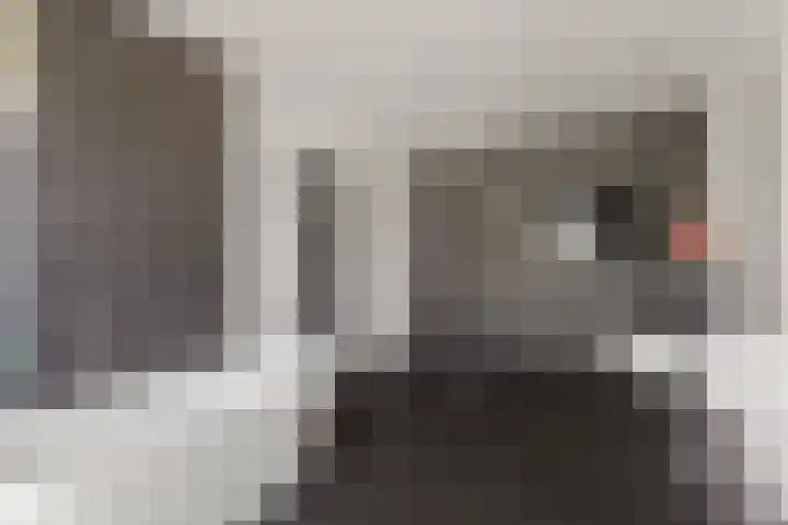 Zonnedauw 4 Alphen aan den Rijn thumbnail 42