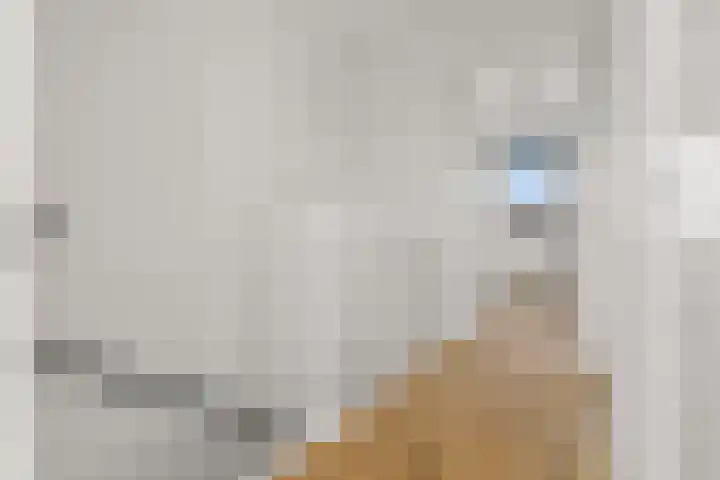 Zonnedauw 4 Alphen aan den Rijn thumbnail 44