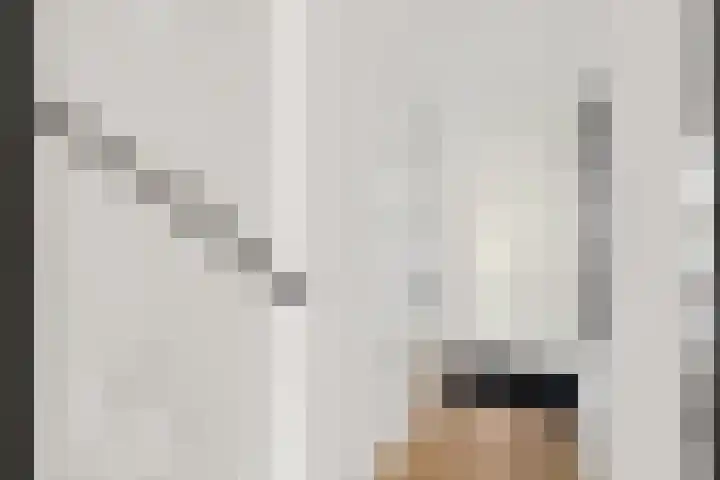 Zonnedauw 4 Alphen aan den Rijn thumbnail 8