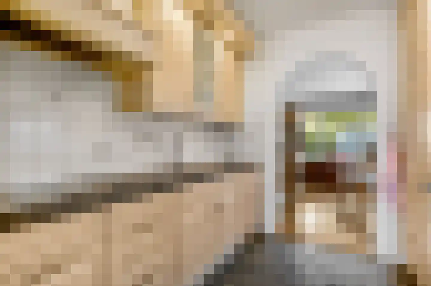 Zonnedauw 4 Haelen thumbnail 11