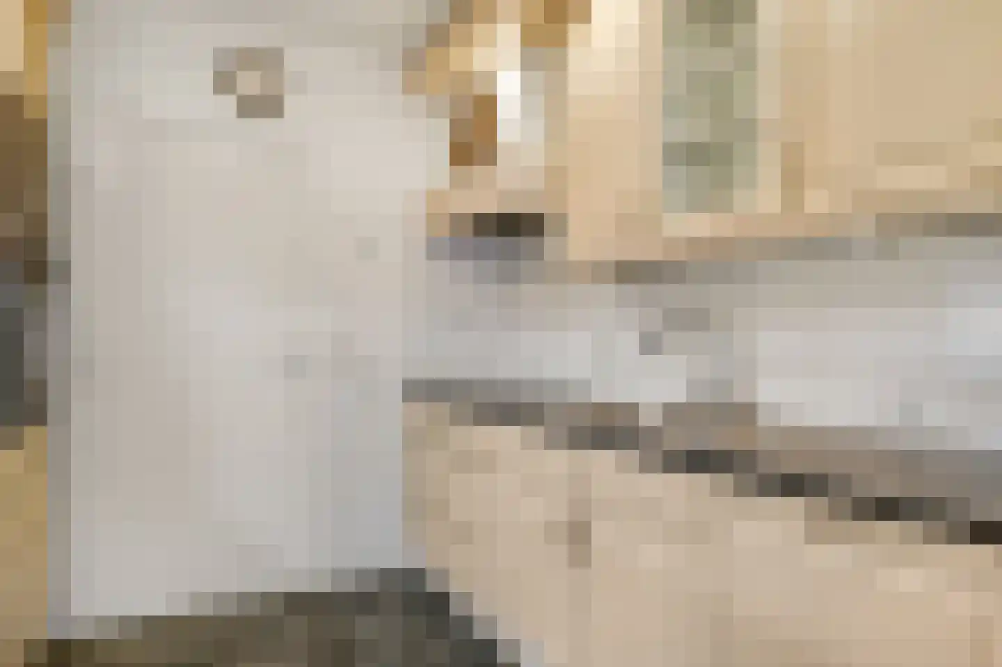 Zonnedauw 4 Haelen thumbnail 12