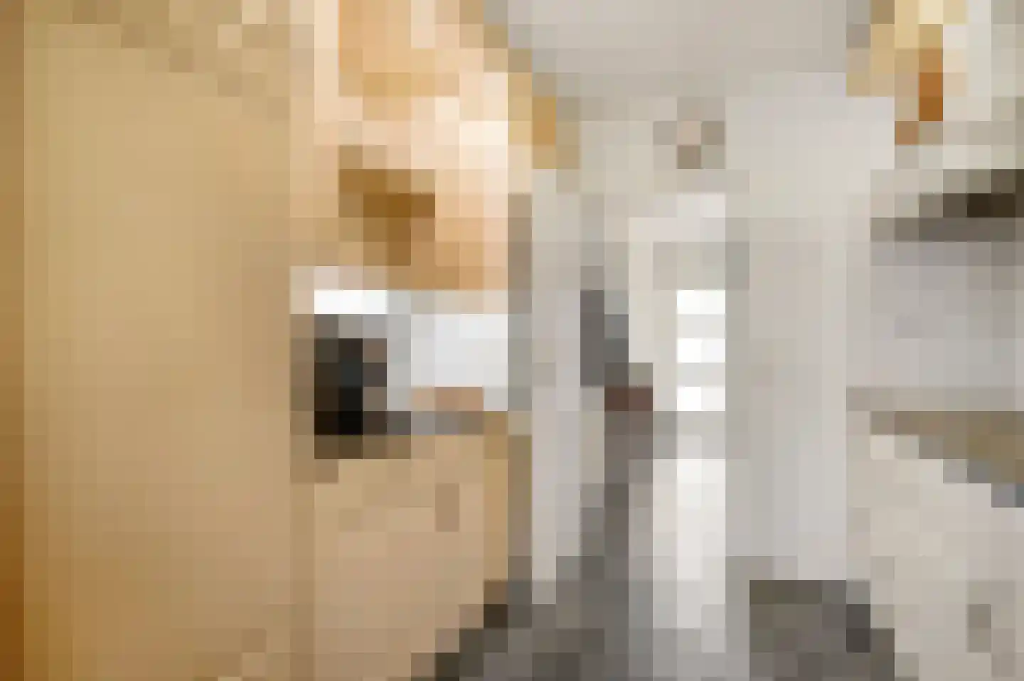 Zonnedauw 4 Haelen thumbnail 13