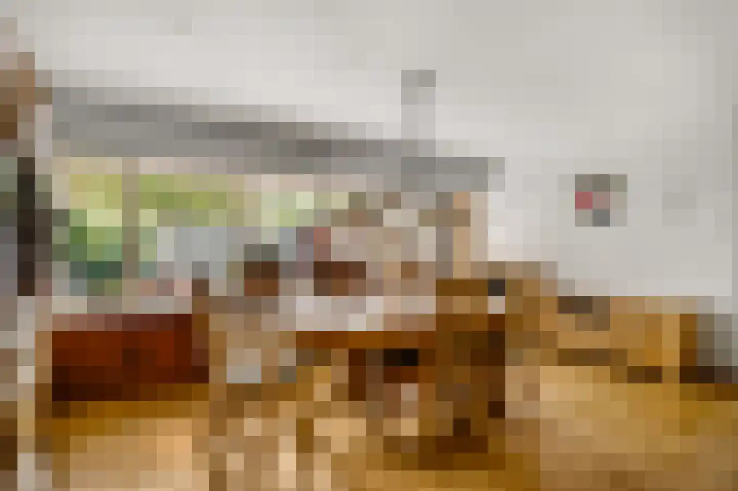 Zonnedauw 4 Haelen thumbnail 14