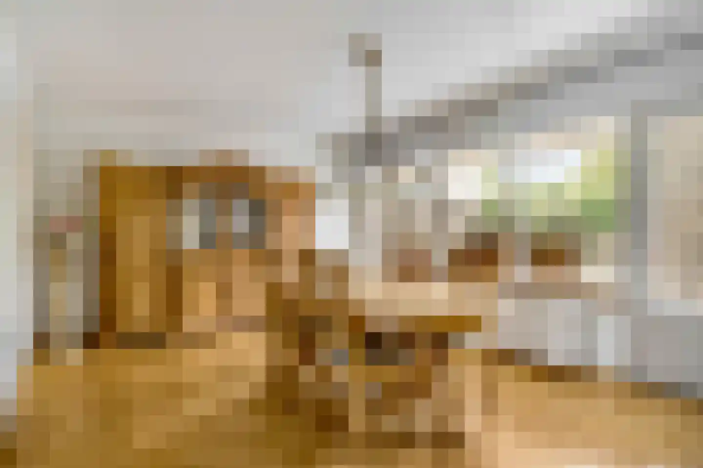 Zonnedauw 4 Haelen thumbnail 15