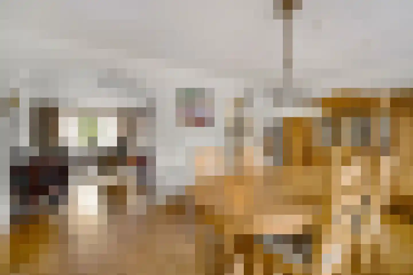 Zonnedauw 4 Haelen thumbnail 17