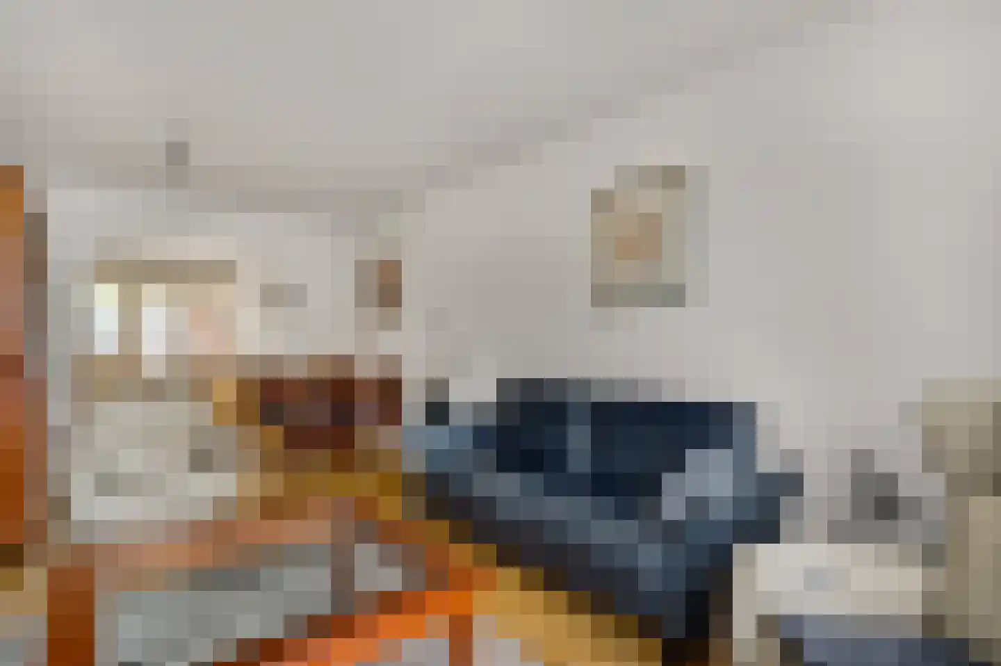 Zonnedauw 4 Haelen thumbnail 20