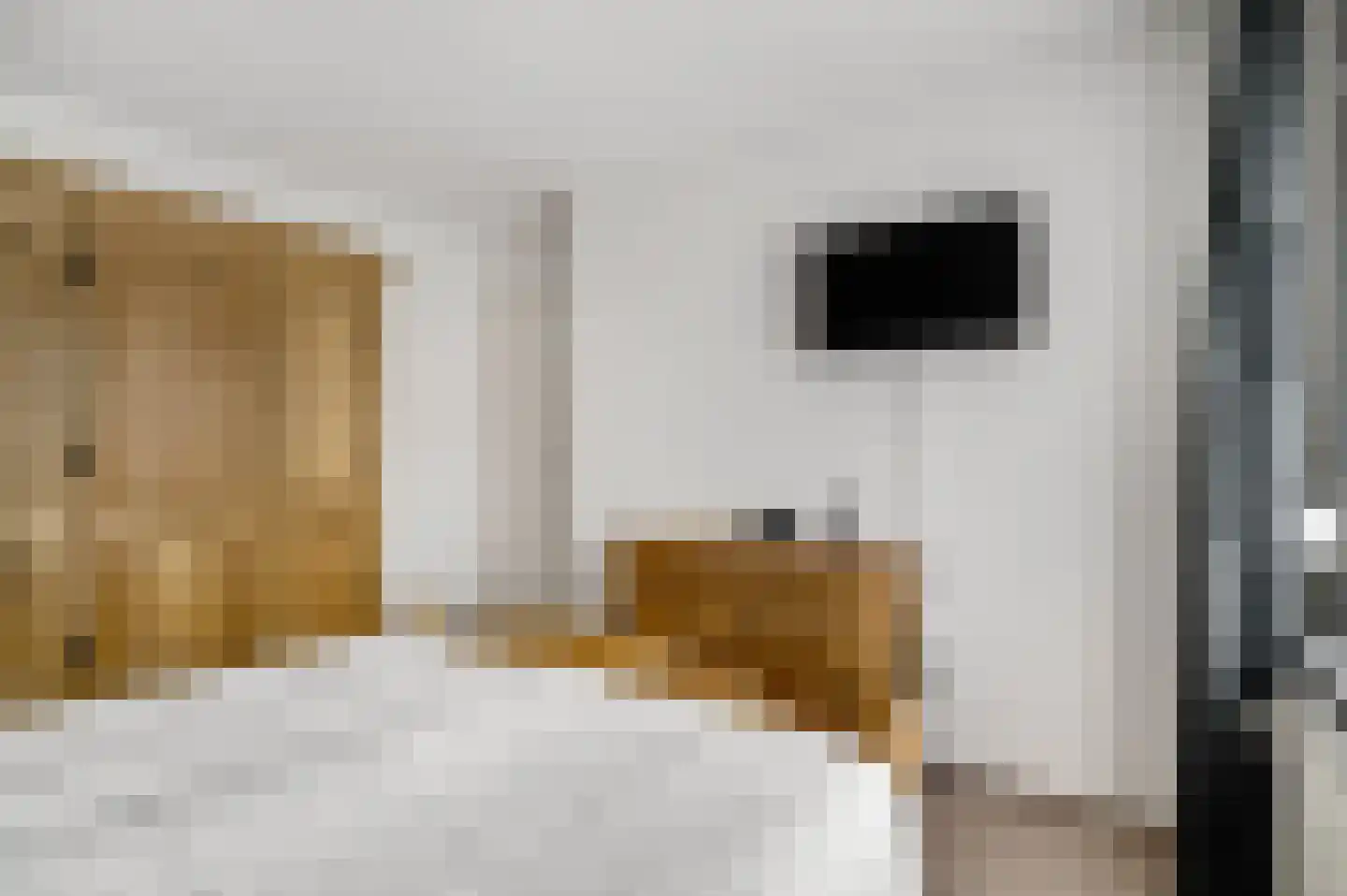 Zonnedauw 4 Haelen thumbnail 25