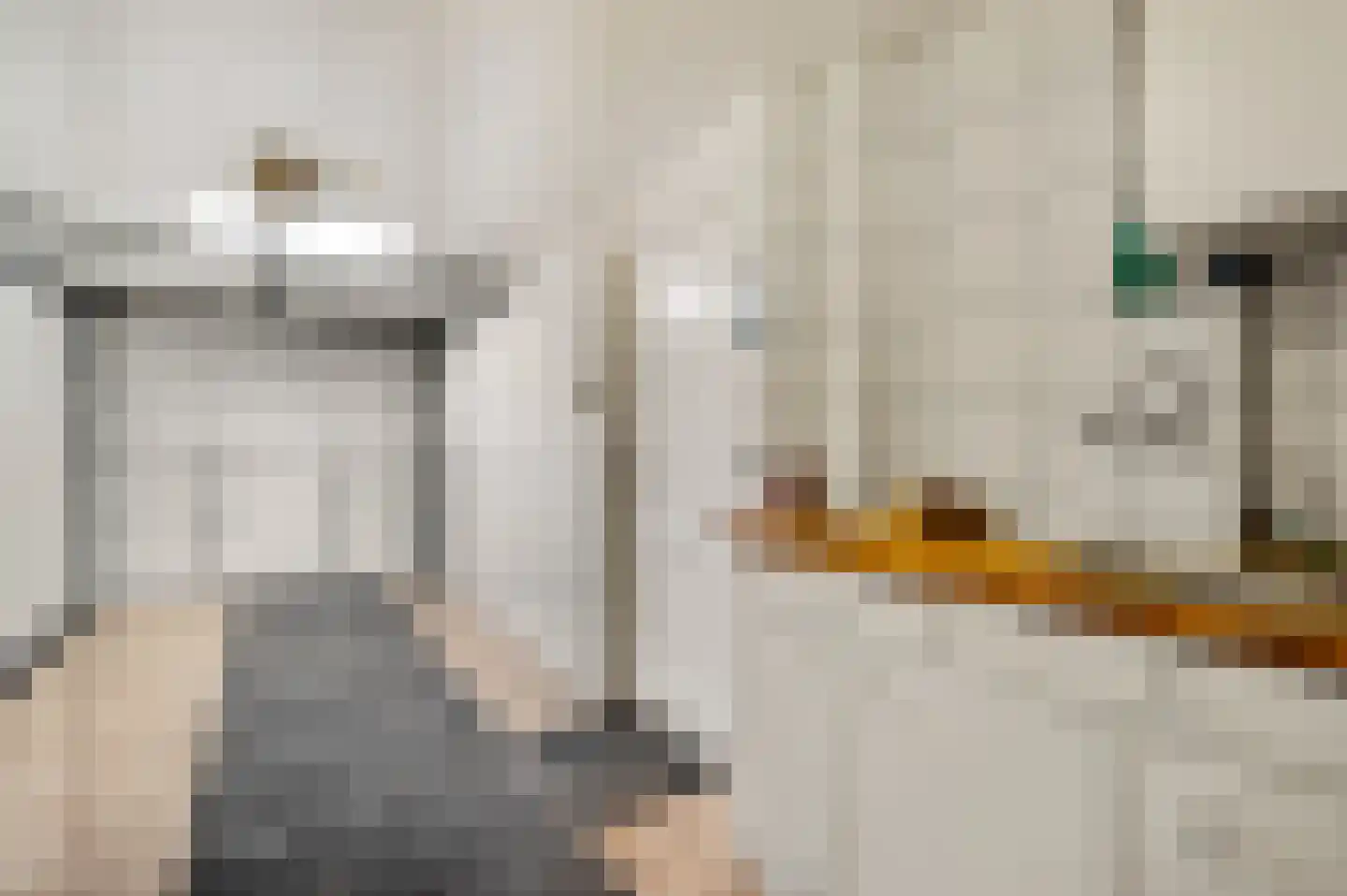 Zonnedauw 4 Haelen thumbnail 32
