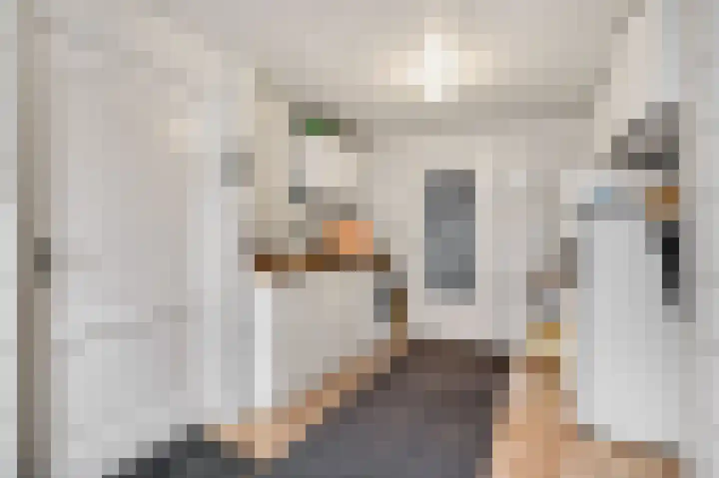 Zonnedauw 4 Haelen thumbnail 34