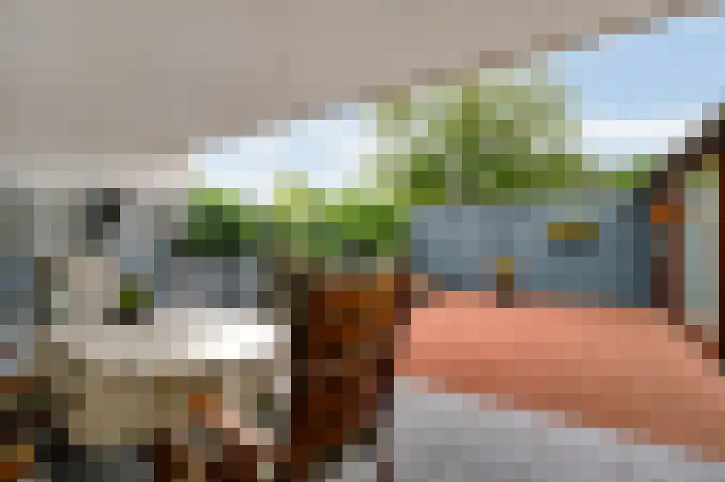 Zonnedauw 4 Haelen thumbnail 37