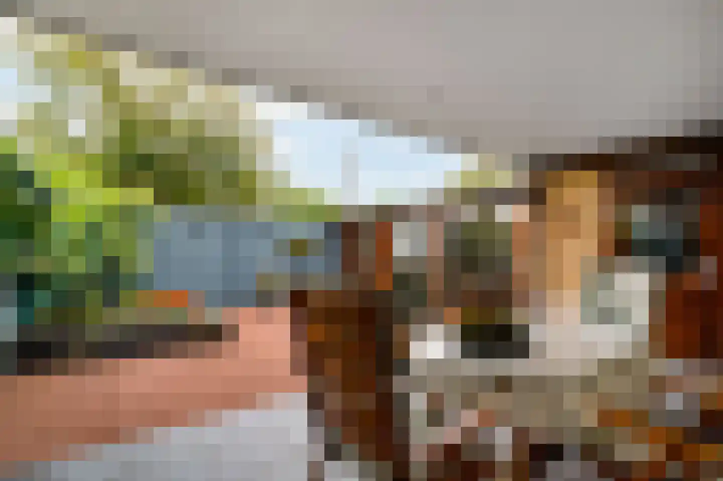 Zonnedauw 4 Haelen thumbnail 38