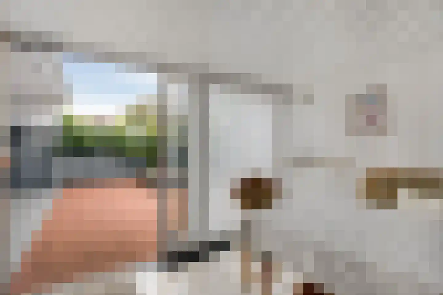 Zonnedauw 4 Haelen thumbnail 41