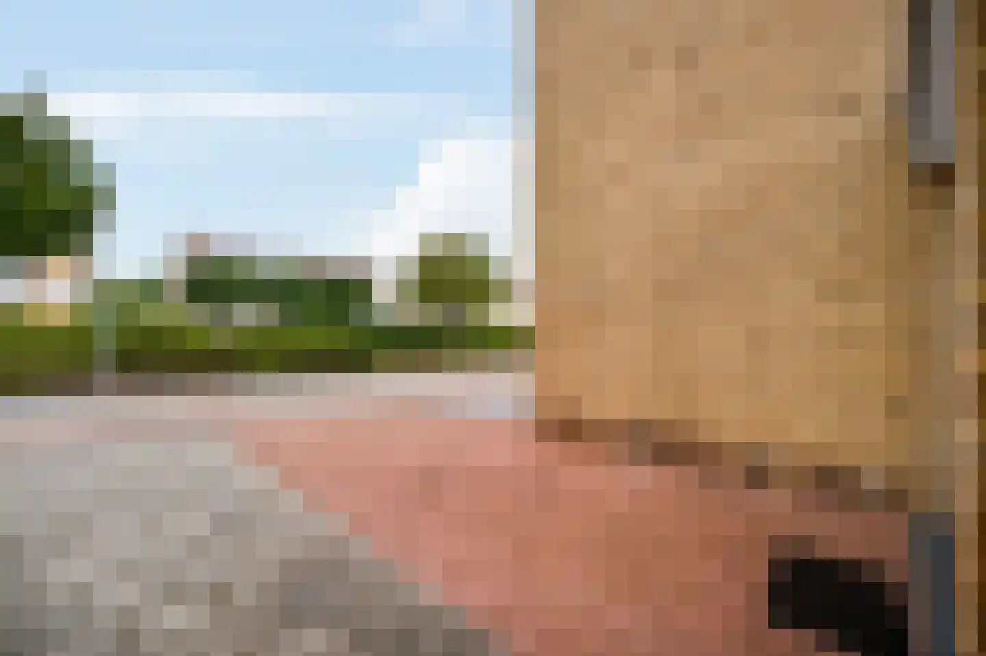 Zonnedauw 4 Haelen thumbnail 46