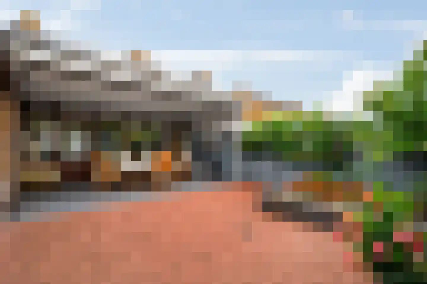Zonnedauw 4 Haelen thumbnail 5