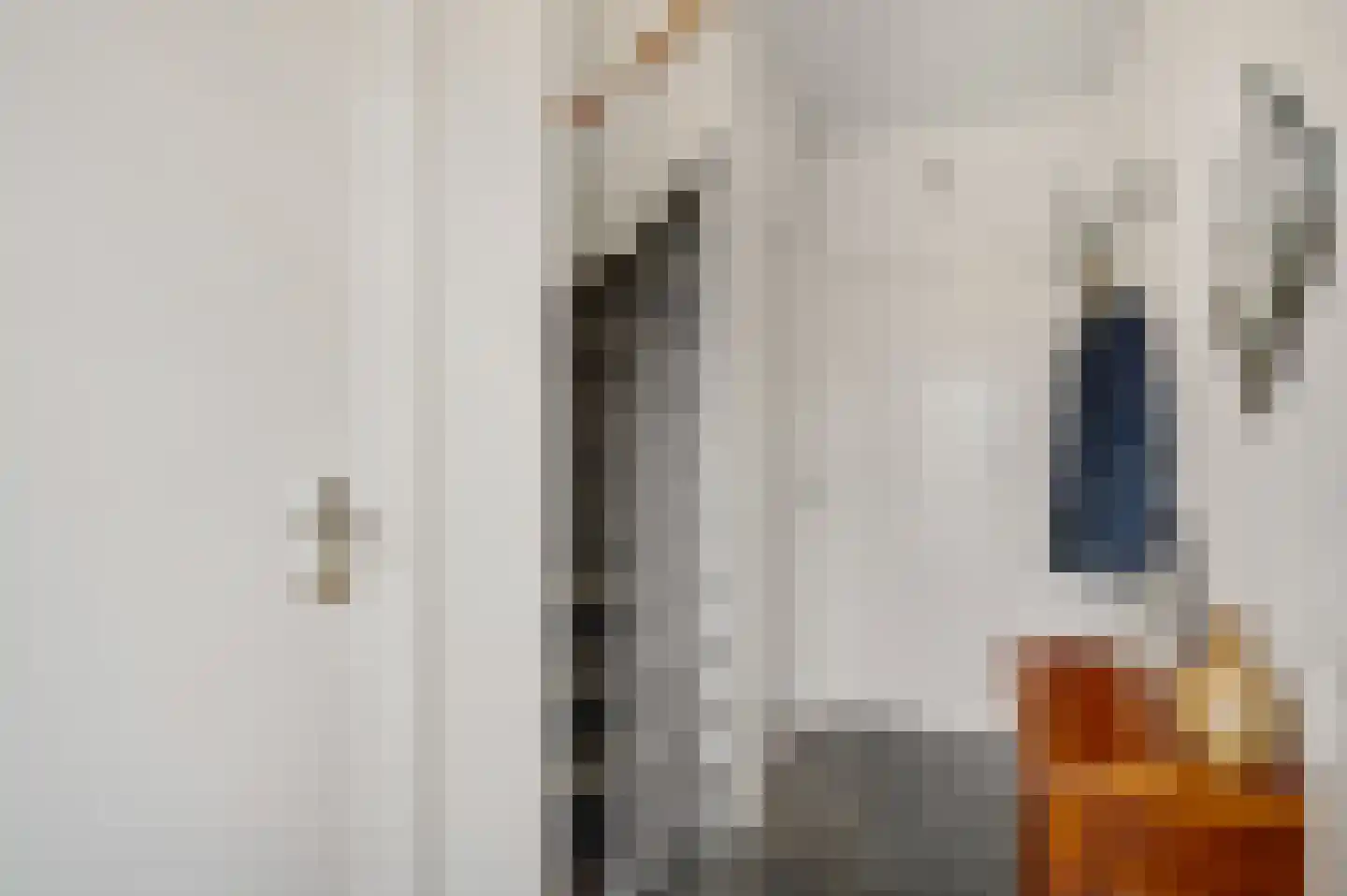 Zonnedauw 4 Haelen thumbnail 6