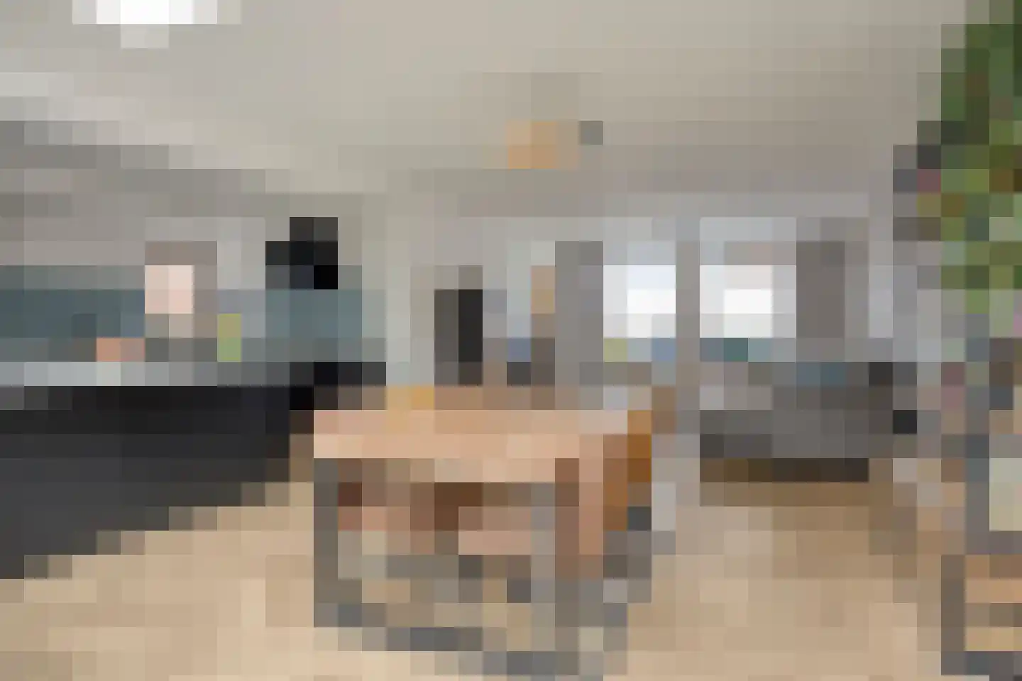 Zonnedauw 4 Oost West en Middelbeers thumbnail 13