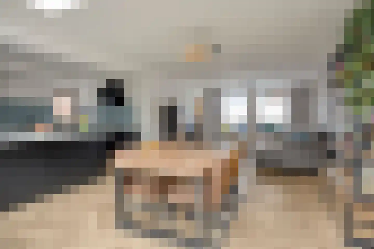 Zonnedauw 4 Oost West en Middelbeers thumbnail 13