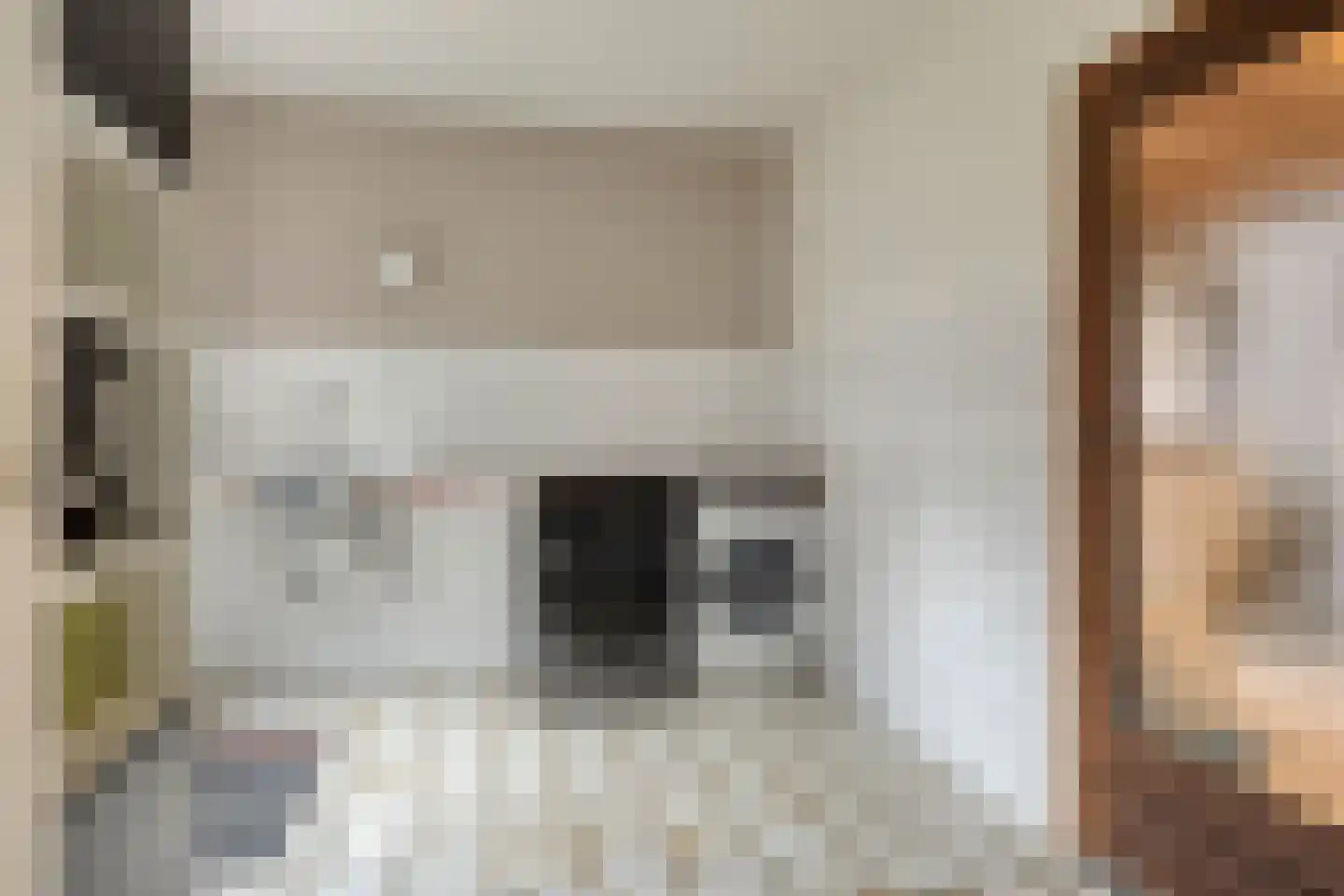 Zonnedauw 4 Oost West en Middelbeers thumbnail 19