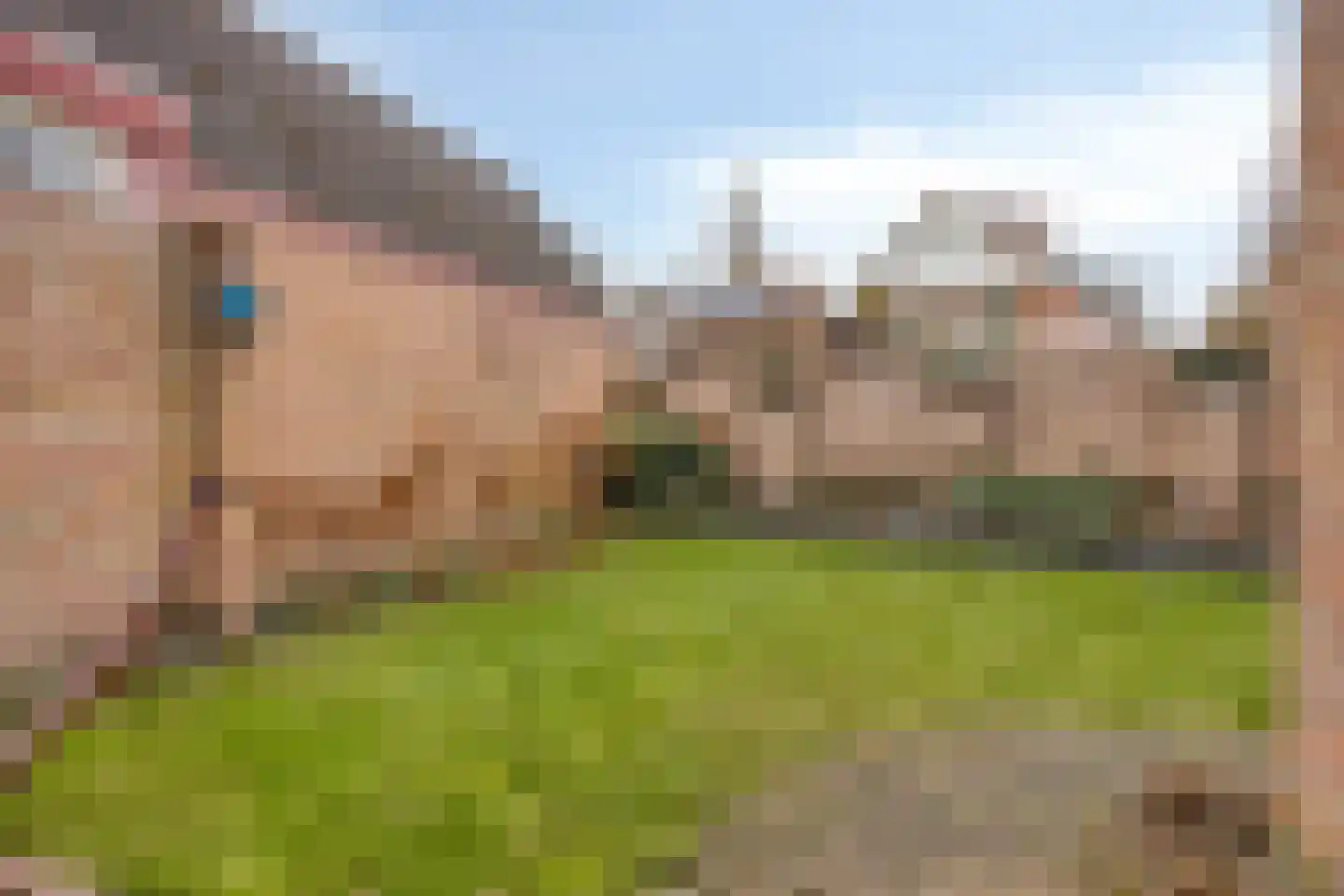 Zonnedauw 4 Oost West en Middelbeers thumbnail 38