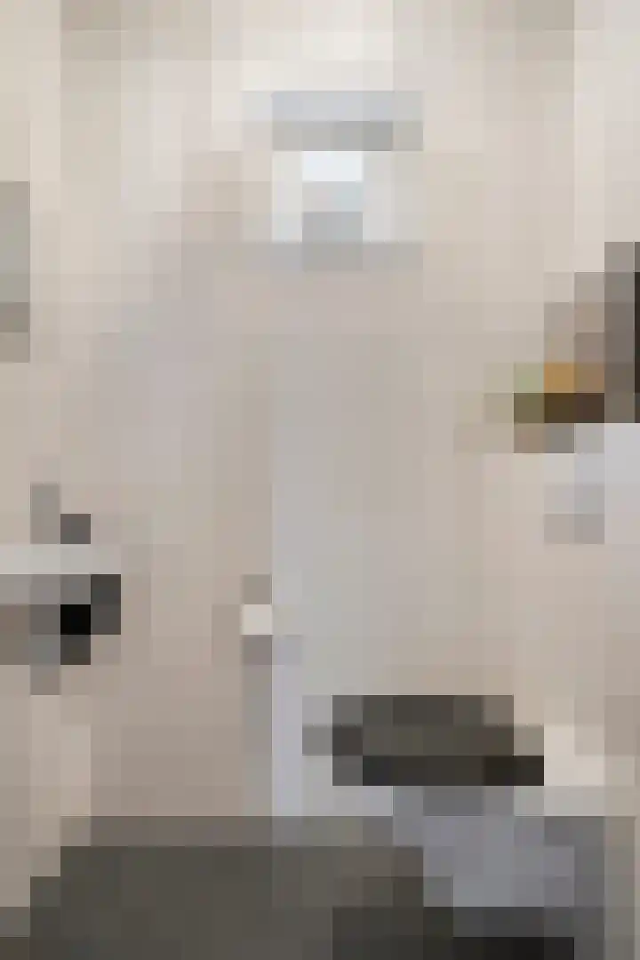 Zonnedauw 4 Sevenum thumbnail 12