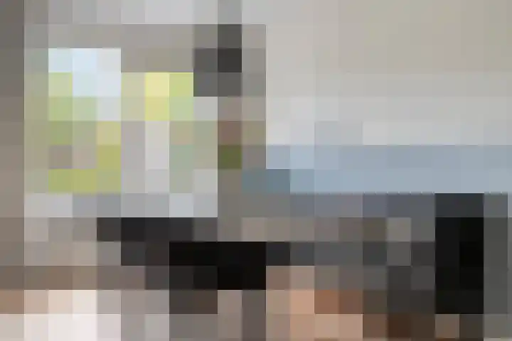 Zonnedauw 4 Sevenum thumbnail 17