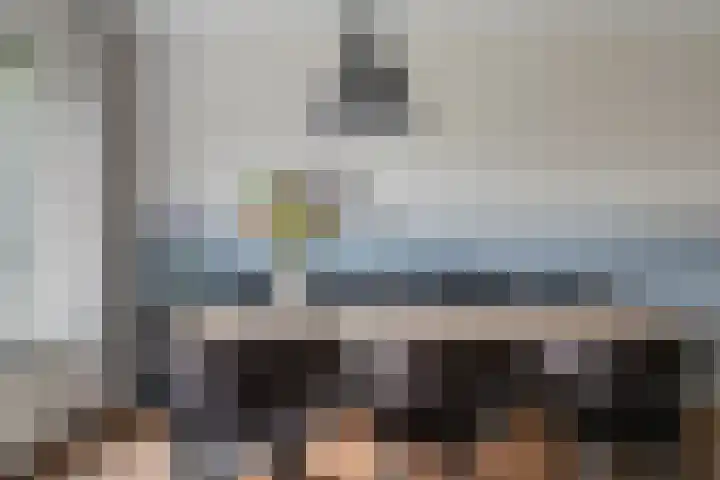 Zonnedauw 4 Sevenum thumbnail 19