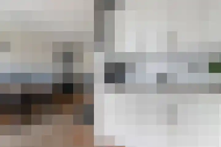 Zonnedauw 4 Sevenum thumbnail 23