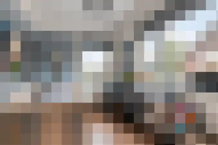 Zonnedauw 4 Sevenum thumbnail 29
