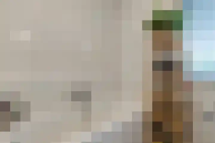 Zonnedauw 4 Sevenum thumbnail 32