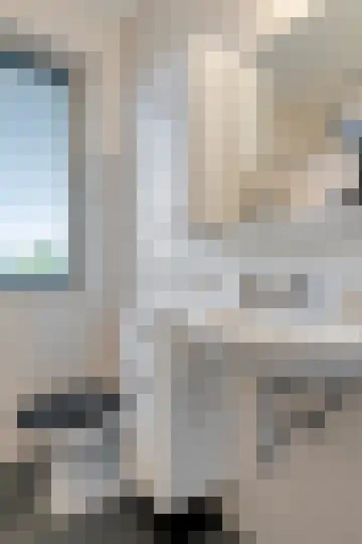Zonnedauw 4 Sevenum thumbnail 34
