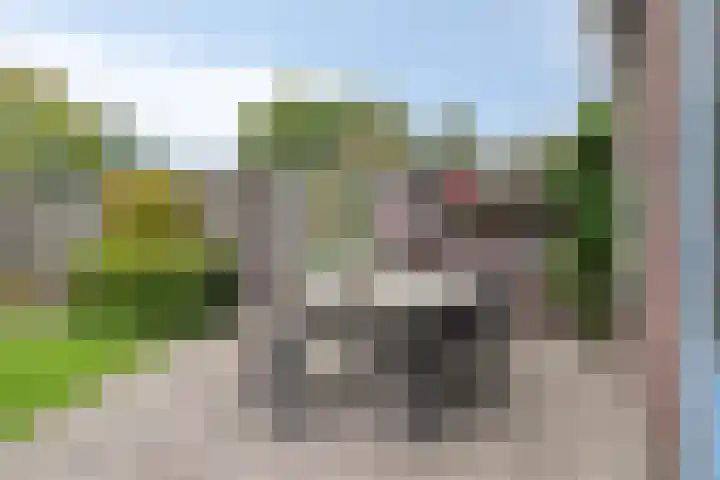 Zonnedauw 4 Sevenum thumbnail 38