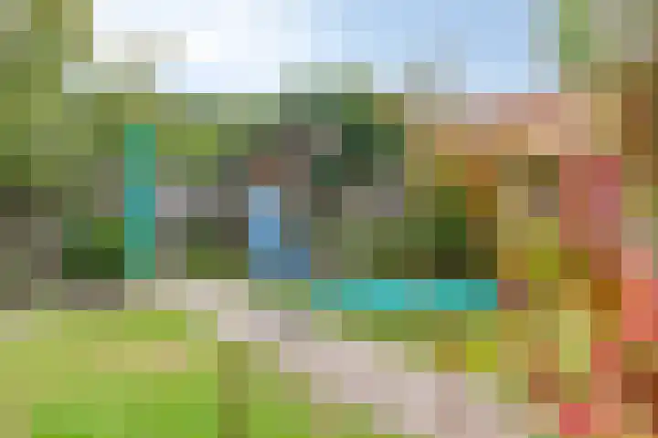 Zonnedauw 4 Sevenum thumbnail 40