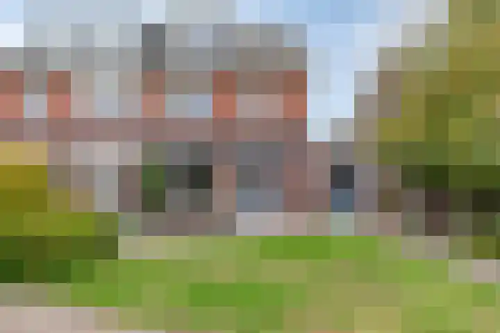 Zonnedauw 4 Sevenum thumbnail 42