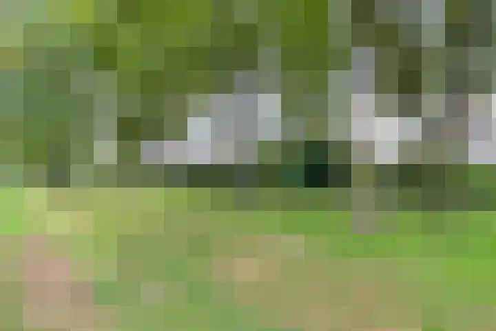 Zonnedauw 4 Sevenum thumbnail 45